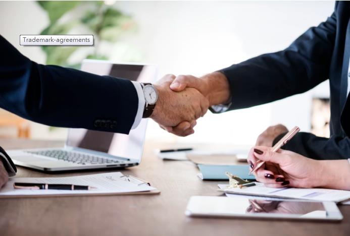 Companies that protect trademarks early on tend to experience higher growth